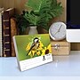 2026 Willow Creek Backyard Birds 6.2" x 5.4" Day-to-Day Calendar (53935)~#|#~72B45842-BC9B-42D1-87EFE4B26DE6675B_sc7