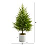 Nearly Natural Norfolk Island Pine Natural Look Artificial Tree, 49" (T1509)~#|#~72C6034B-854A-45AD-9381C8CC8B02DAF9_sc7