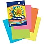 Tru-Ray 9" x 12" Construction Paper, Assorted Colors, 50 Sheets/Pack, 6 Packs/Bundle (PAC6596)~#|#~72DE975C-34D2-4D71-8E58A78A69332BDF_sc7