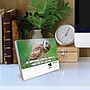 2026 Willow Creek Animal Antics 6.2" x 5.4" Day-to-Day Calendar (55137)~#|#~72E1AFD0-EDAE-4870-B5BF4F19630784DB_sc7