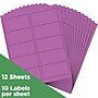 JAM Paper Laser/Inkjet Shipping Address Labels, 2" x 4", Violet Purple, 10 Labels/Sheet, 12 Sheets/Pack (302725790)~#|#~72E5C74E-50E2-4101-9EC91A29D56FD523_sc7