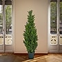 National Tree Company 50" Cedar Tree (QLMC8-50-1)~#|#~72ED7FE0-B6B9-4580-BDE0DCD376CF0D70_sc7