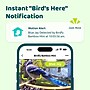Birdfy Feeder Bamboo Mini with Camera, Solar Panel and Free AI Lifetime Subscription, Black & Brown (EPPAMBNI8412110)~#|#~73272170-16E4-47EC-A17AAA8041673EEA_sc7
