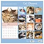 2027 TF Publishing Cat Dreams 12" x 12" Monthly Wall Calendar (27-1003)~#|#~7328A7E3-42B6-4B83-AA138D392225FEAF_sc7