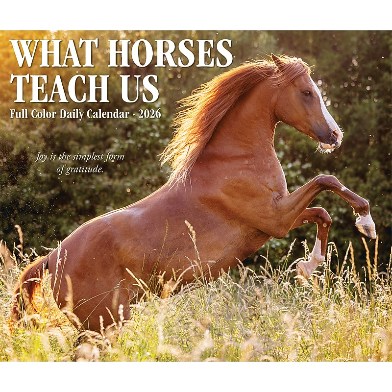 2026 Willow Creek What Horses Teach Us 6.2" x 5.4" Day-to-Day Calendar (54529) image 1