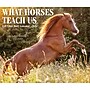 2026 Willow Creek What Horses Teach Us 6.2" x 5.4" Day-to-Day Calendar (54529)~#|#~73293C3C-BEF0-4FC1-95A6DD624F3ED7F9_sc7