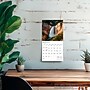 2026 BrownTrout Rocky Mountain Wilderness 7" x 7" Monthly Wall Calendar (9798330705351)~#|#~7353A238-06AD-4095-91FA130A81201E48_sc7