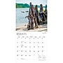2027 BrownTrout South Carolina Wild & Scenic 12" x 12" Monthly Wall Calendar (9798330710850)~#|#~735A06D2-B95A-40CB-A758DA33D93F2A84_sc7