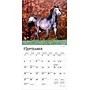 2026 BrownTrout Horse Lovers 7" x 7" Monthly Wall Calendar (9798330703708)~#|#~739C5197-D67A-478B-B7C8F94BB502086C_sc7