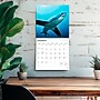 2026 BrownTrout Sharks 12" x 12" Monthly Wall Calendar (9798330705504)~#|#~73A546F5-9E67-43C6-8C33B7321102D619_sc7