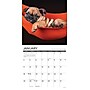 2026 Willow Creek What Puppies Teach Us 12" x 12" Monthly Wall Calendar (53225)~#|#~73A6480A-F7B5-482D-AF192ACBBA58D740_sc7