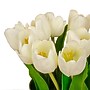 National Tree Company 9" White Tulip Bouquet in Metal Pot (MT81-130TU25PWH)~#|#~73C2D7EF-A219-42E7-926C6416261A366C_sc7