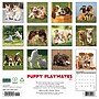 2027 Willow Creek Puppy Playmates 12" x 12" Monthly Wall Calendar, Assorted Colors (61961)~#|#~73C756F4-FD8B-49E2-9C3134B2289A2A0F_sc7