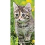 2026-2027 Willow Creek Cute as A Kitten 3.5" x 6.5" Monthly Planner Cover (56530X)~#|#~73D4D8BD-BC9E-49E6-96C8C1660AA6FB6B_sc7