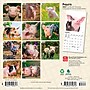 2027 BrownTrout Piglets 7" x 7" Monthly Wall Calendar (9798330709816)~#|#~73DBB961-EF68-40C4-97EF560A9434A50B_sc7