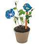 S&S Planting a Rainbow Creative Reads Book & Activity Kit (LR4562)~#|#~73E6F0A5-FA66-43C6-AEB3604305E9F223_sc7