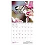 2026 TF Publishing 12" x 17" TF Publishing 7" x 7" Backyard Birds Mini Calendar 26-2013~#|#~73EE56F4-D1FE-407B-992BC2B42C262D2A_sc7