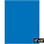 10" x 12" Reclosable Poly Bag, 2 Mil, Blue, 1000/Carton (PB3655BL)~#|#~73F45576-0329-4F6A-94768C754EF05815_sc7