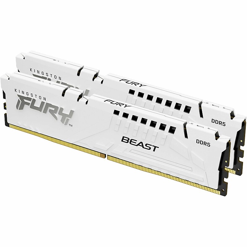 Kingston FURY Beast 16 GB (2 x 8GB) DDR5 SDRAM Memory (KF560C30BWEK2-32) image 1