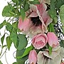 National Tree Company 26" Hydrangeas, Tulips and Eucalyptus Swag (DL87-65F22231-1)~#|#~74093B84-C1A9-4205-96581E16856CB0B6_sc7
