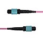 StarTech 33 ft. MPO/MTP Fiber Cable, Female-to-Female, Pink ...