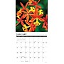 2026 Willow Creek Orchids 12" x 12" Monthly Wall Calendar (56035)~#|#~744A8C4C-628B-4B96-B10F11288C96F243_sc7