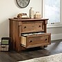 Sauder Palladia 2-Drawer Lateral File Cabinet, Letter/Legal Size, 30"H x 37"W x 22"D, Vintage Oak (420607)~#|#~744CF833-F276-4159-835B14BB82BE9459_sc7