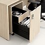 Bush Business Furniture Assure Mobile File Cabinet, Letter/Legal Size, Lockable, 26"H x 16"W x 20"D, Natural Elm (AUS216NESU)~#|#~745300EE-52A3-4000-8977DE6969537442_sc7