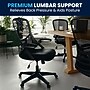 Flash Furniture Porter Ergonomic Mesh Swivel Executive Chair, Black (HL00161BKBK)~#|#~746FEBC6-E28A-4BB5-B68D0188C297AEEF_sc7
