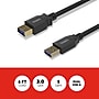 Staples TECH 6 ft. USB-A to USB-A Cable, Male to Male, Black (ST62442)~#|#~747C6855-5F72-4B4D-95E55206D92AC783_sc7