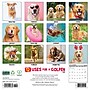 2026 Willow Creek 12 Uses for a Golden 12" x 12" Monthly Wall Calendar (49730)~#|#~74811CB0-3890-475E-89215C8BCD7370FB_sc7
