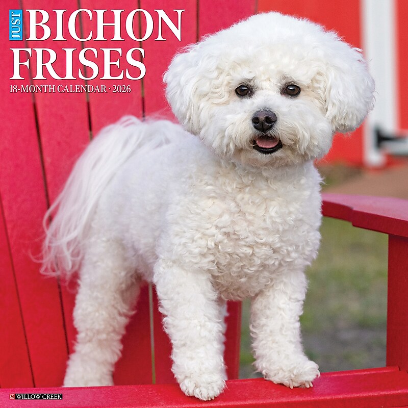 2026 Willow Creek Bichon Frises 12" x 12" Monthly Wall Calendar (50248) image 1