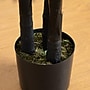 Nearly Natural Artificial Halloween Black Golden Cane Tree, 6' (T5141)~#|#~749F8E21-D308-4A7E-A31FF49F0DA6EE03_sc7