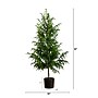 Nearly Natural Artificial Norfolk Pine Tree, 5' (T4709)~#|#~74D00D66-7BAC-478B-9B9B00E7203A5431_sc7
