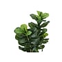 Monarch Specialties Inc. 41" Artificial Fiddle Tree in Pot (I 9540)~#|#~74EBDAE4-AD23-42B5-B16365234B7A9422_sc7