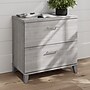 Bush Furniture Somerset 2-Drawer Lateral File Cabinet, Letter/Legal, Platinum Gray, 30" (WC81280)~#|#~74F9E102-48A0-4AFF-A5D8DFAD2C7FAE0C_sc7