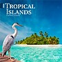 2026 BrownTrout Tropical Islands 7" x 7" Monthly Wall Calendar (9798330705986)~#|#~75046A75-D8AC-473E-A5C6CAC6C467ED55_sc7