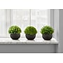 Monarch Specialties Inc. 5" Artificial Plant in Pot, 3/Set (I 9552)~#|#~7516BE0B-332E-4203-8A552CDF5199457C_sc7