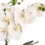 National Tree Company 21" White Orchid Flower in White Basket (MT81-PH0254PWH)~#|#~752097E0-52E7-4C6E-966990F415ED43A3_sc7