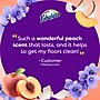 Fabuloso 2X All-Purpose Cleaner & Spray, Peach Scent (61046751) ~#|#~75223A1B-D5EF-4E25-88D3189D5FFB1D45_sc7