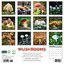 2026 Willow Creek Mushrooms 12" x 12" Monthly Wall Calendar (52068)~#|#~753172E8-C393-4467-BA9346648E979D2C_sc7