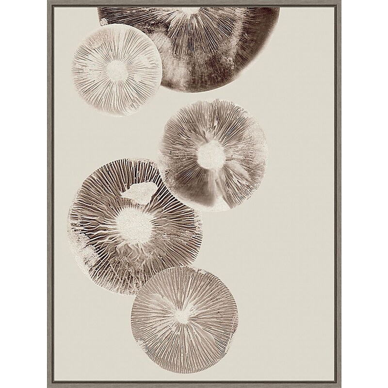 Amanti Art Mushroom 6 Light Brown by Pernille Folcarelli Framed Canvas Wall Art Print, 32" x 42" (A42677747977) image 1