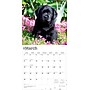 2026 BrownTrout Black Labrador Retriever Puppies 12" x 12" Monthly Wall Calendar (9798330704194)~#|#~755E3FB1-19ED-4342-9D34ED8856820E71_sc7
