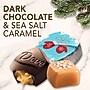 DOVE Promises Dark Chocolate & Sea Salt Caramel Chocolate Pieces, 7.94 oz. (MMM59122)~#|#~7576F031-FEB2-4DEA-B4E653B453BF722D_sc7