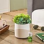Lifelines Rosemary & Lemon Evaporative Aromatherapy Essential Oil Succulent Diffuser (11-1609)~#|#~758BE6BE-C3A8-4279-BD6D5F6D8CFCB6AE_sc7