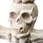 National Tree Company 12" Skeleton Candelabra (RAH-ZHS11925-1)~#|#~758FE46B-FEF2-41AE-842BB6588D11A7F6_sc7