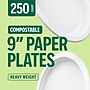 Perk™ Eco Compostable Paper Plates, 9", White, 250/Pack (PK61287)~#|#~75A8D751-28F5-43A7-A757F1331DC75315_sc7