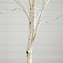 Nearly Natural 6' Pre-Lit Artificial White Birch Tree with 90 White LED Lights (T4931)~#|#~75BD4288-BB53-4B28-8770091576F9A6C3_sc7