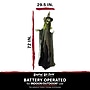 Haunted Hill Farm Life-Size Animatronic Witch with Crystal Ball (HHWITCH-38FLSA)~#|#~7627AB01-6020-43F5-A66679F184ED0C48_sc7