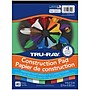 Tru-Ray 9" x 12" Construction Paper, Assorted Colors, 40 Sheets/Pad, 6 Pads/Bundle (PAC6592-6)~#|#~762BD173-6E62-471B-BB71A899113463C2_sc7